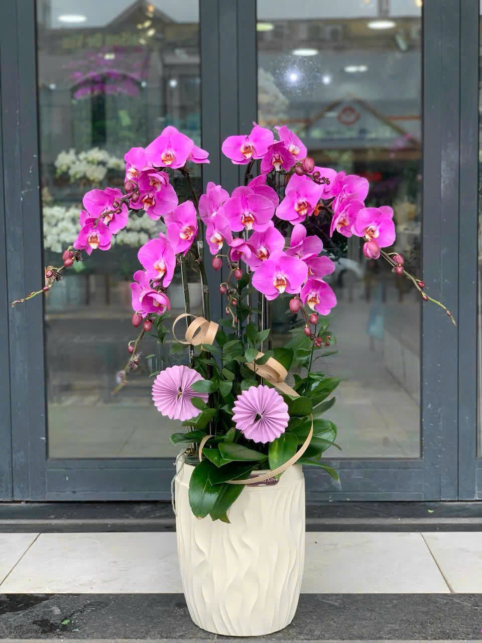 Shop Lan Hồ Điệp Giá Rẻ Tại Hà Nam